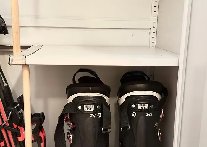 Daniel's - 4 Season バンスコ